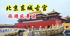 8X8X美女中国北京-东城古宫旅游风景区